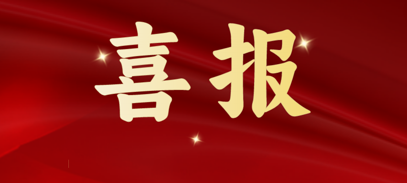 斩获多项重磅级行业荣誉，龙8-long8载誉开启2024！
